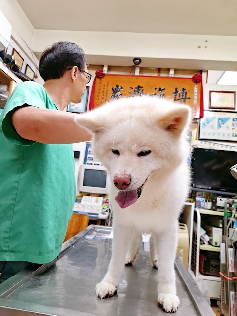 蘆洲動物醫院