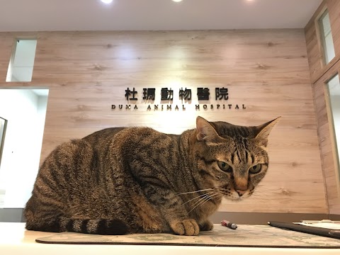 杜瑪動物醫院