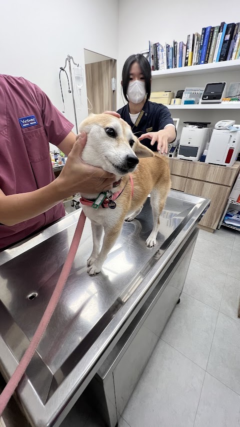 毛孩子動物醫院