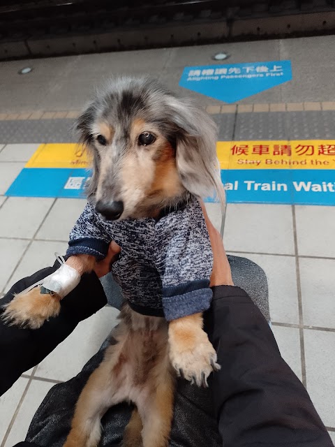 中美獸醫院 府連院