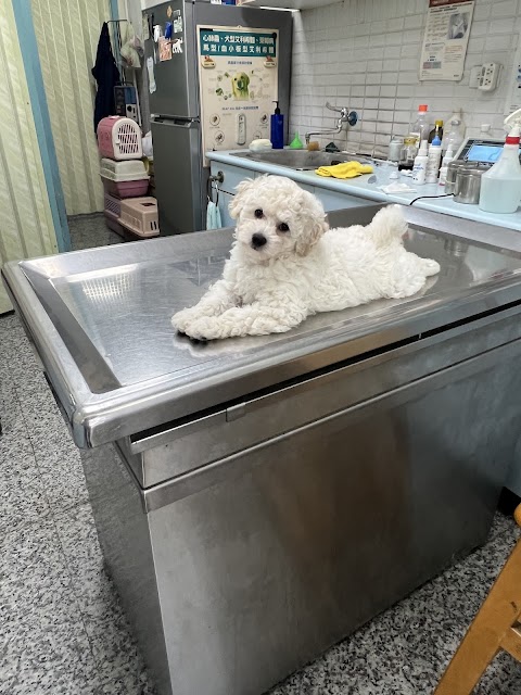 五權動物醫院