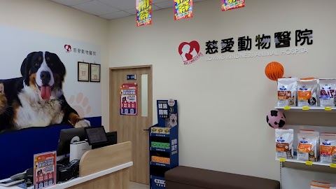 慈愛動物醫院 - 大灣分院