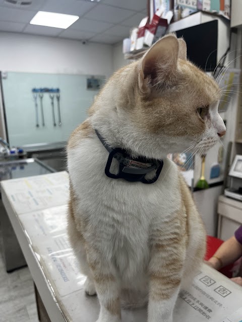 眾新動物醫院