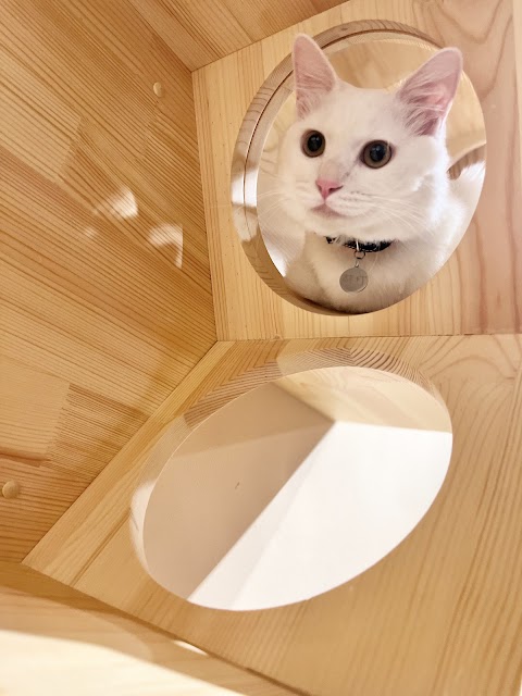 安和動物醫院