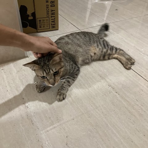 佑明動物醫院