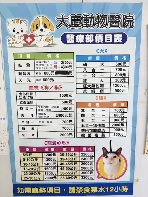 大慶動物醫院