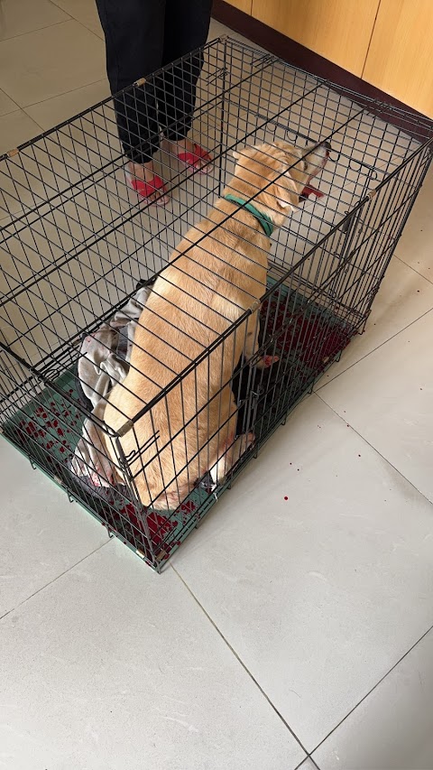 哈囉獸醫診所