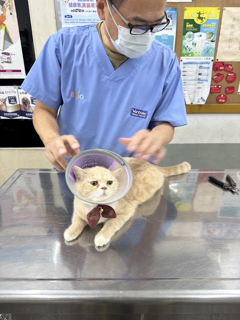 新泰動物醫院