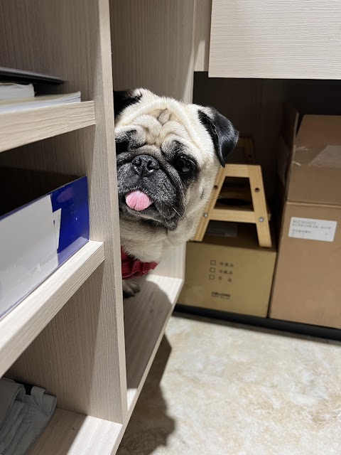 貝安動物醫院