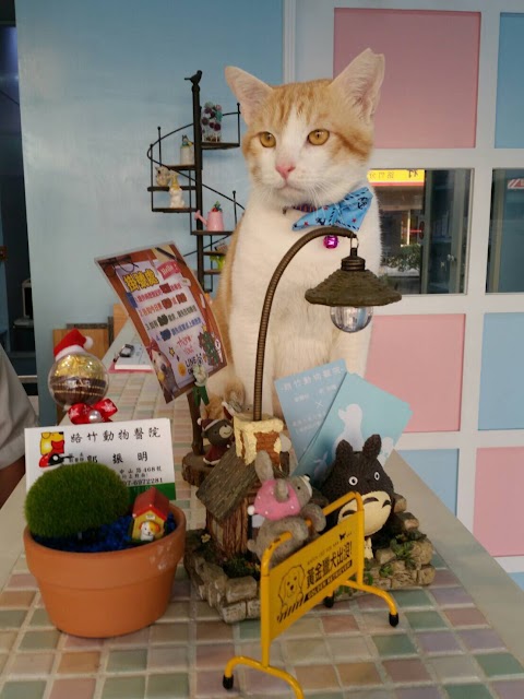 路竹動物醫院