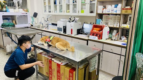 花蓮動物醫院