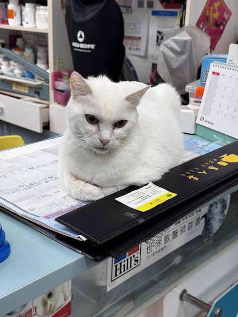東昇動物醫院