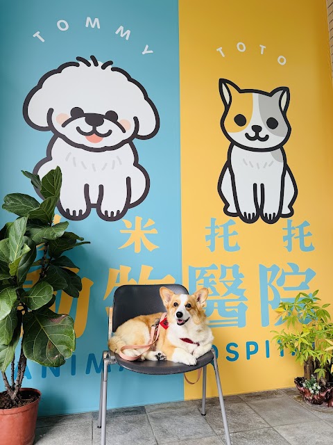 湯米托托動物醫院
