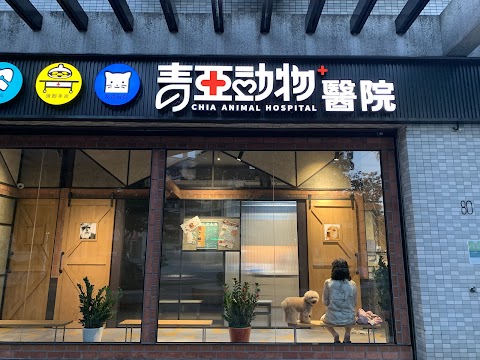 青亞動物醫院-預約制