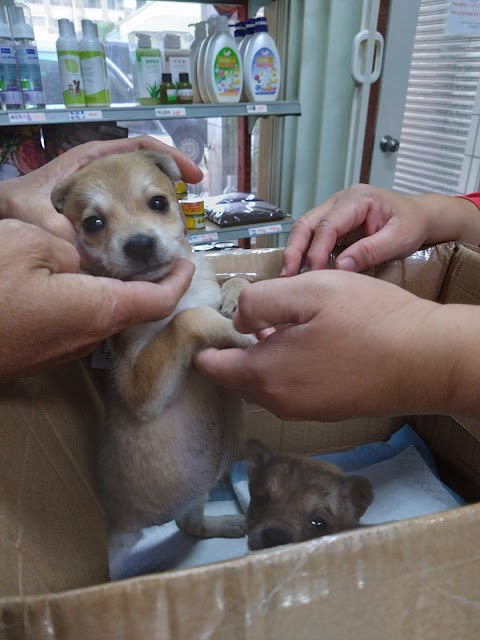 忠平動物醫院