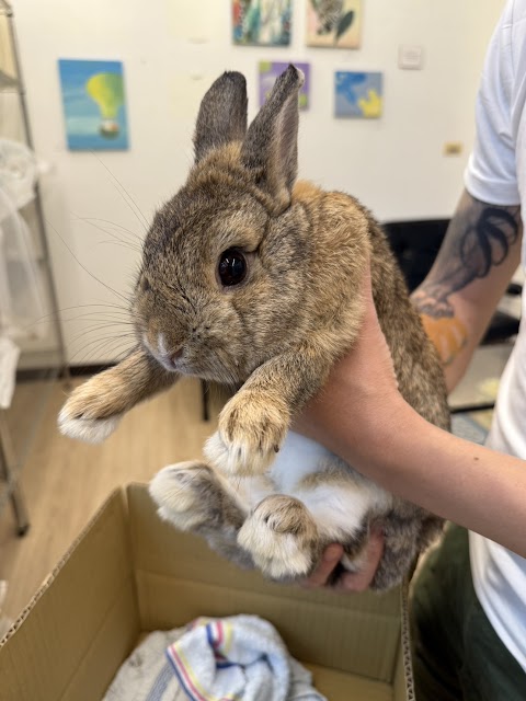 邦尼動物醫院