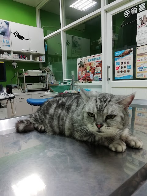 佳醫動物醫院