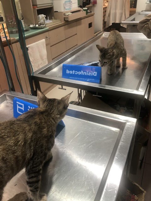 長慶動物醫院