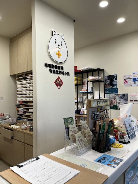 毛毛動物醫院