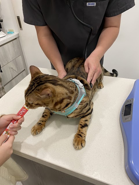 小腳印動物醫院