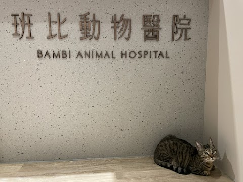 班比動物醫院