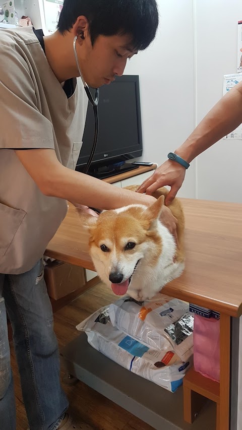 貝斯特動物醫院/獸醫/汐止