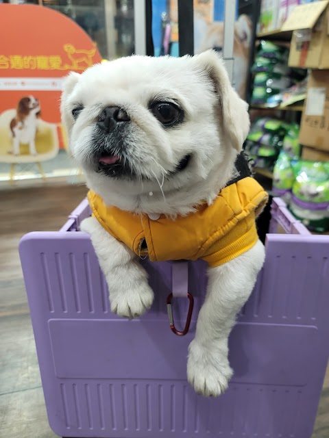 皇家動物醫院