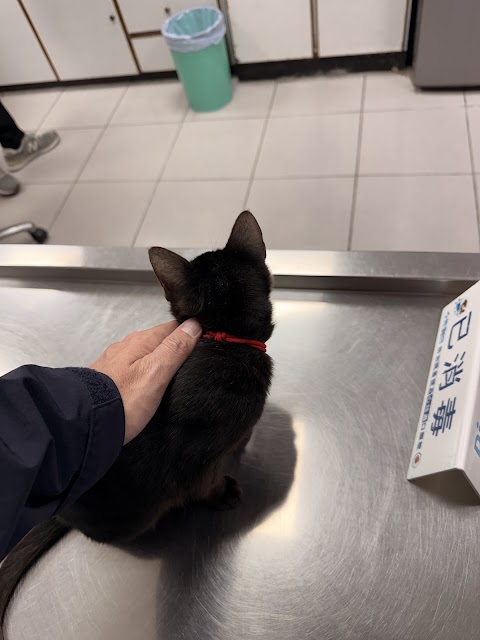 聖愛動物醫院大里院