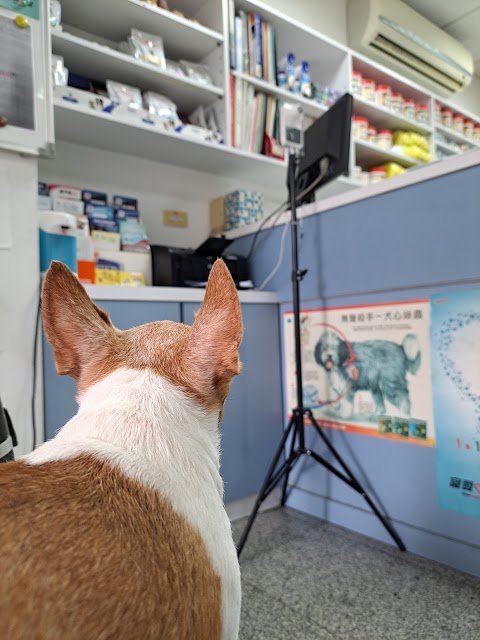護生動物醫院