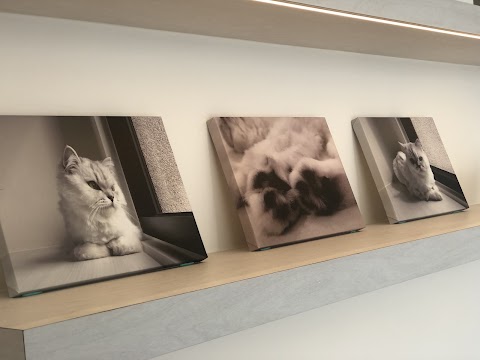 莎拉咪動物醫院