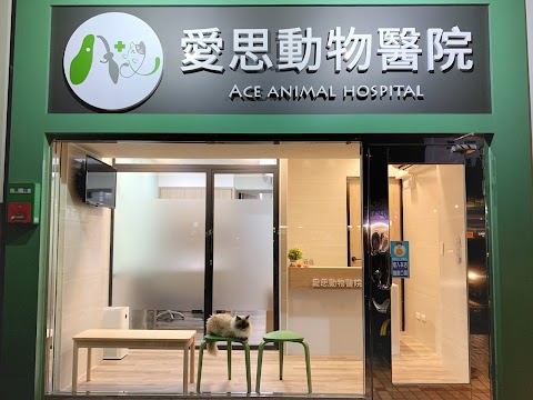 愛思動物醫院