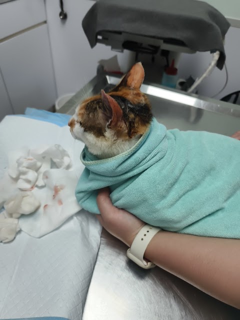 人人動物醫院-埔心分院