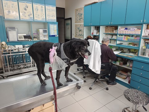 祥億動物醫院