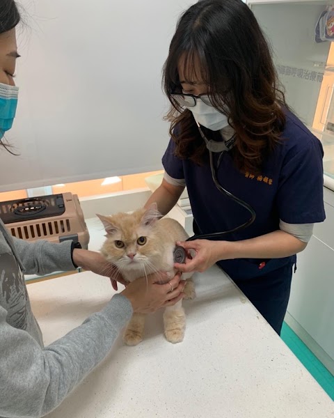 中美獸醫院