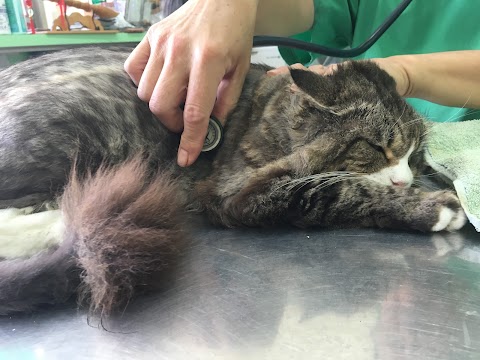 維醫動物醫院