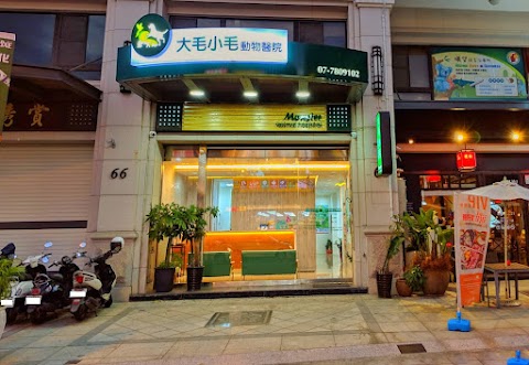 大毛小毛動物醫院