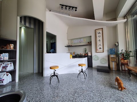 宏家動物醫院
