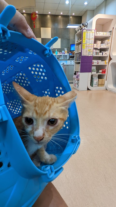 諾德動物醫院