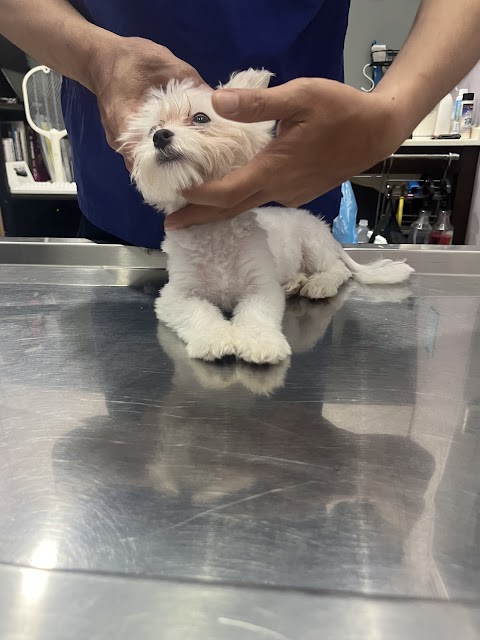 佳禧動物醫院 全約診制