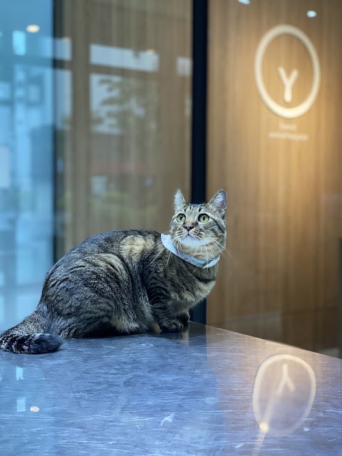 小森林動物醫院