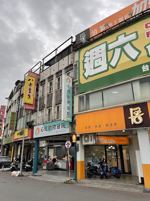 心成動物醫院