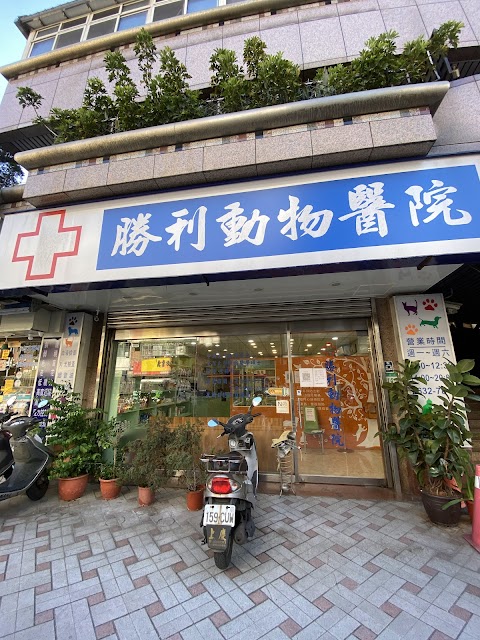 勝利動物醫院